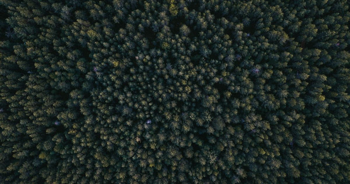 The Green Belt That's Shrinking Around You